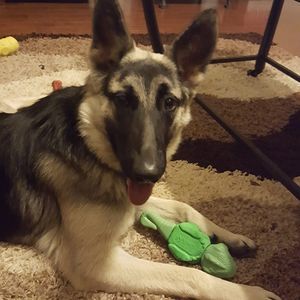 Meet your Posher, Melanie